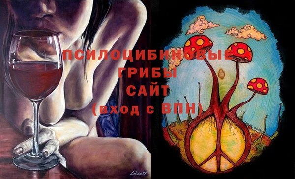 тгк Алексеевка